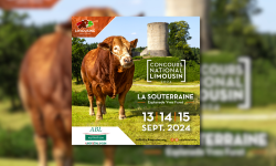Concours national limousin la souterraine Concours national limousin