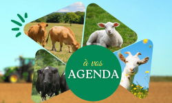 Agenda 2025 Agenda Aliment Bétail Limousin