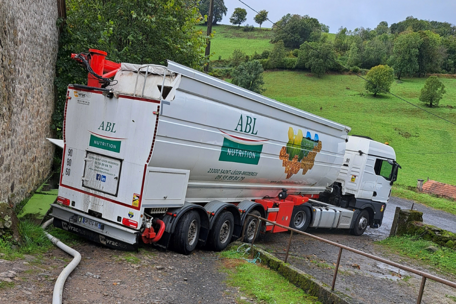 Camion de livraison d'aliment ABL