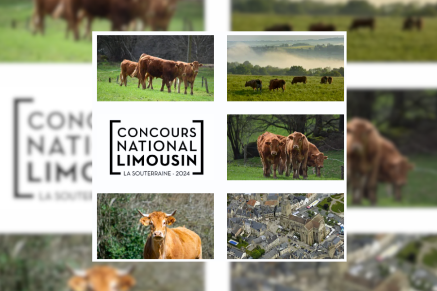 Concours National Limousin 2024 La souterraine